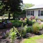 differents-types-plantes-taille