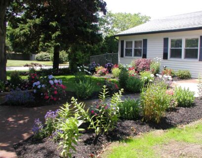 differents-types-plantes-taille