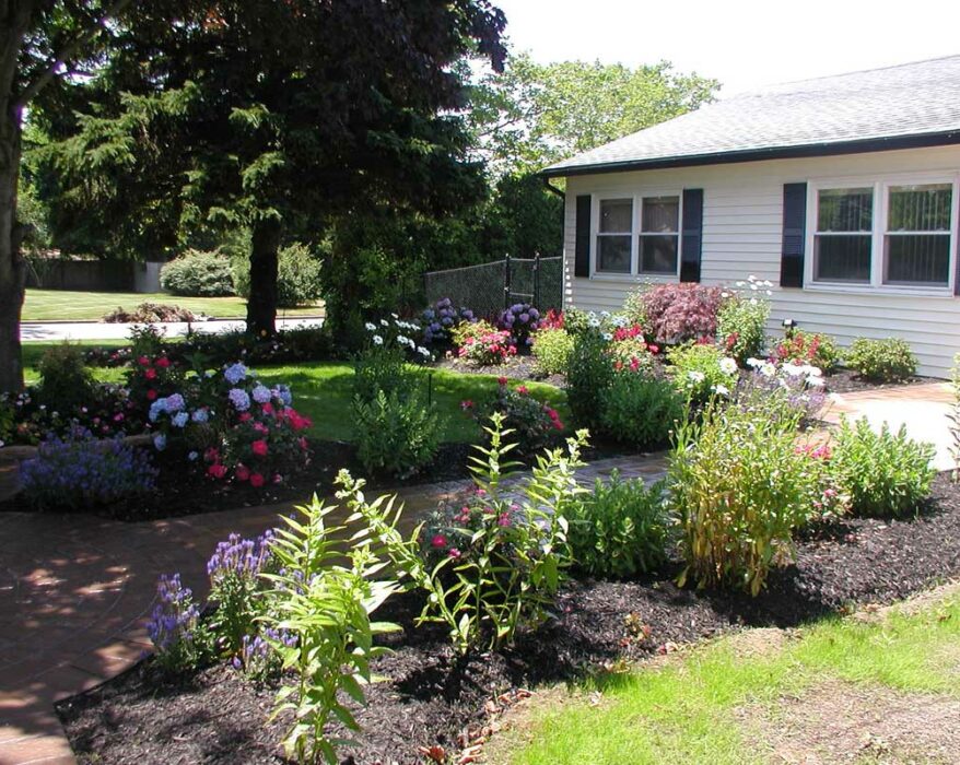 differents-types-plantes-taille