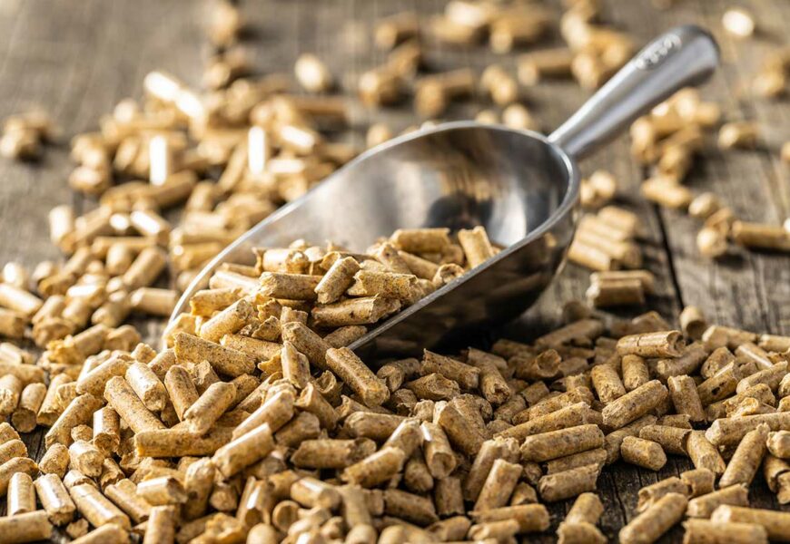 granules-bois-meilleur-combustible-chauffage-maison