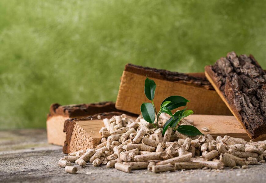 que-choisir-entre-bois-et-granules