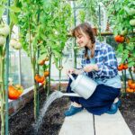 10-meilleures-varietes-tomates-faire-pousser-jardin