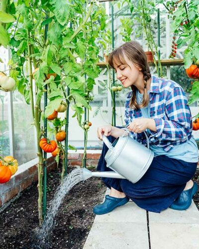 10-meilleures-varietes-tomates-faire-pousser-jardin