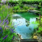 avantages-biopiscine-piscine-naturelle