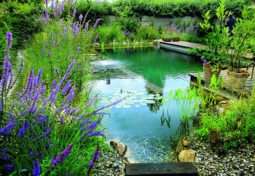 avantages-biopiscine-piscine-naturelle