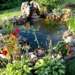 amenager-bassin-jardin