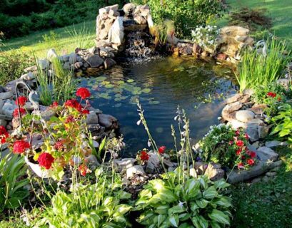 amenager-bassin-jardin