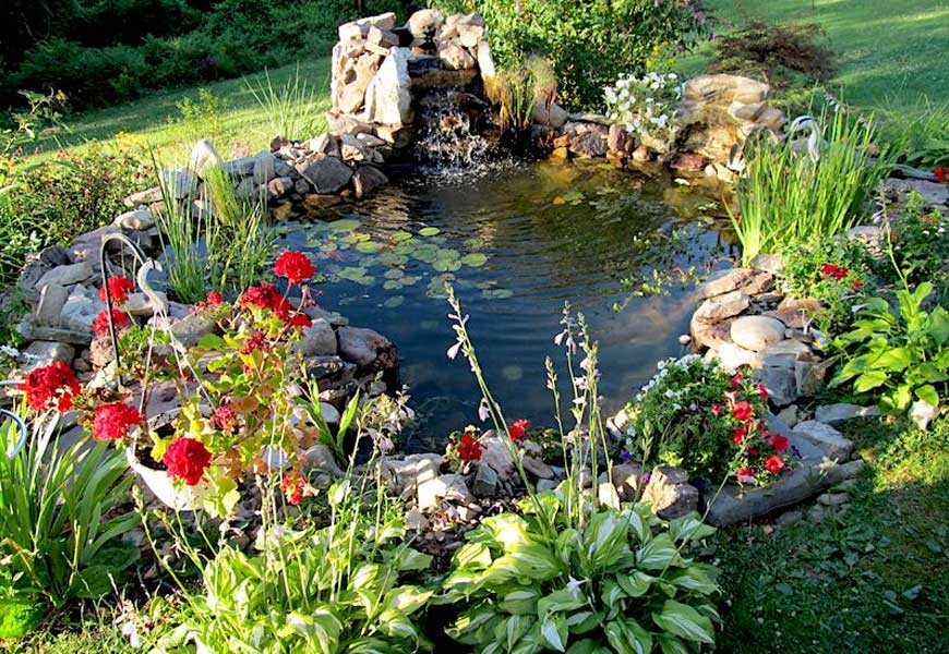 amenager-bassin-jardin