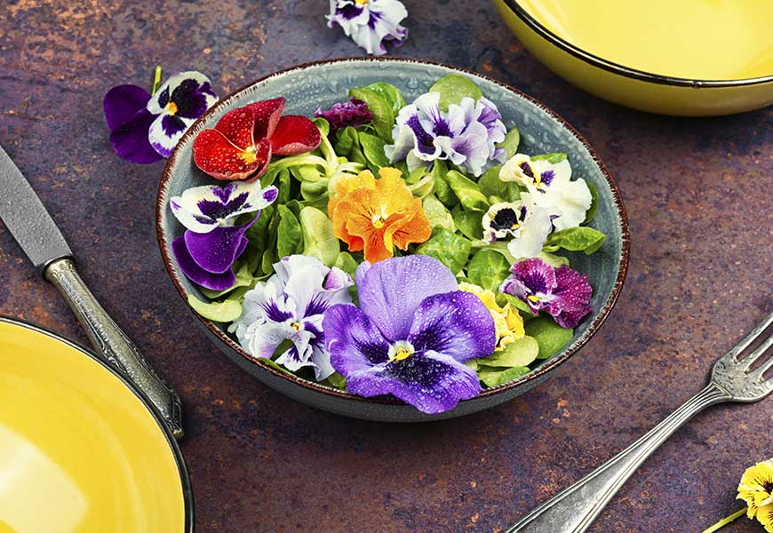 fleurs-comestibles-ou-acheter