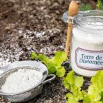 ou-acheter-de-la-terre-diatomee