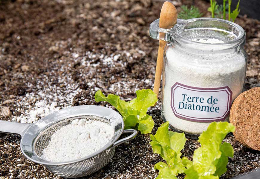 ou-acheter-de-la-terre-diatomee